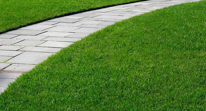 sidewalk-1.jpg