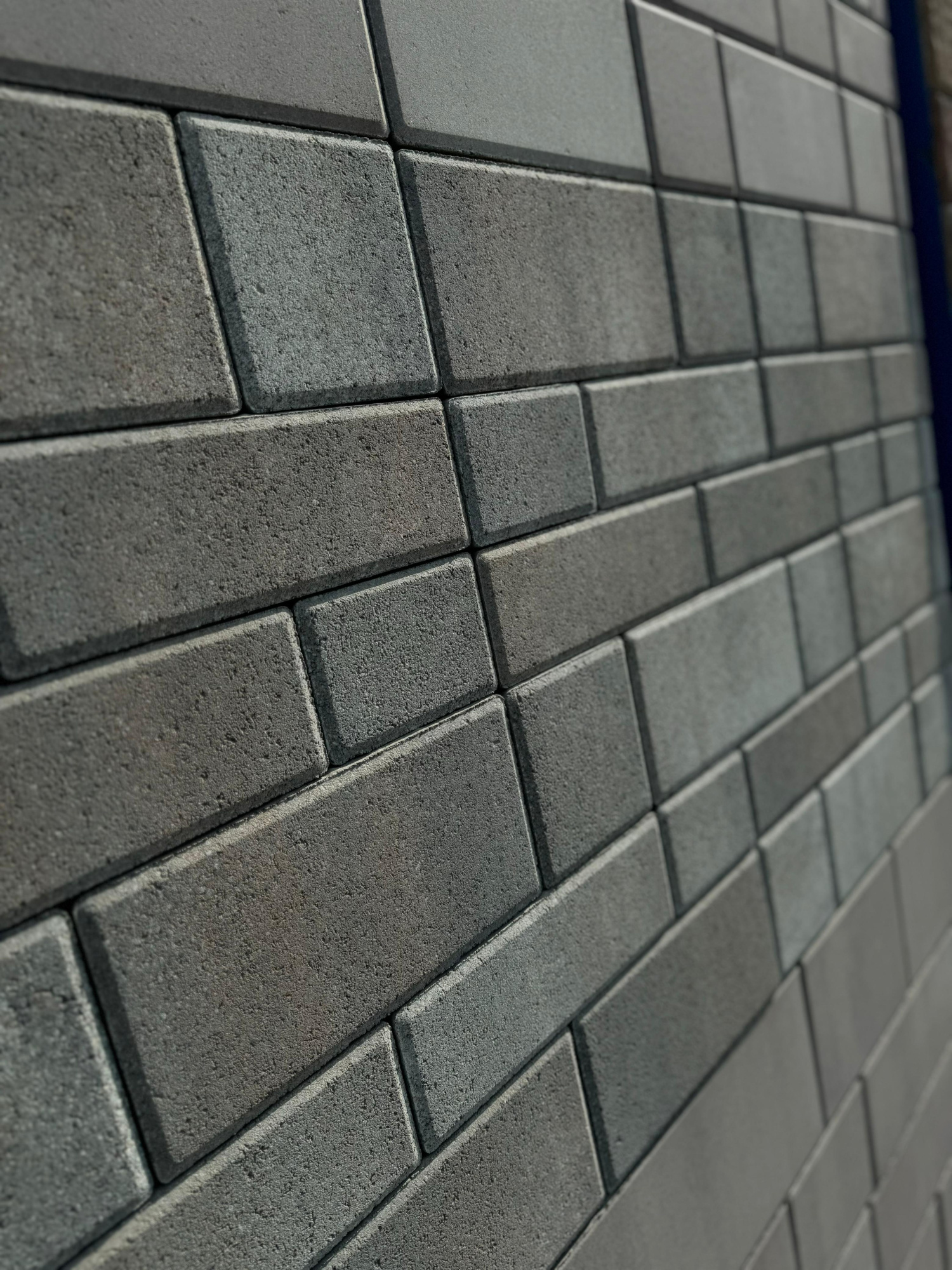 Мультитек Б.4.Псм.8 (+БФ)