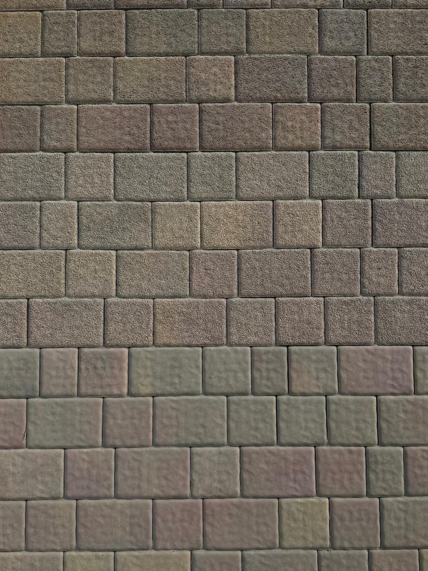 Аурика А.2.Псм.6